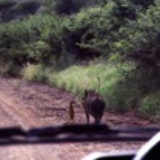 起名字好麻烦的