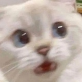 蒋睿