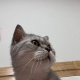 彼刻