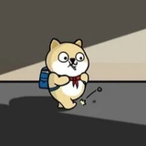 爱学习的小肥柴