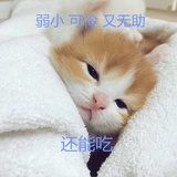 依偎可