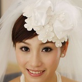 苹果女人杨子