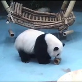 塞尔达（财迷版