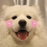 小二二