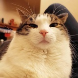 wuwei