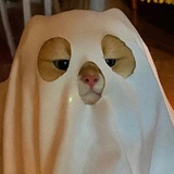 咿呀