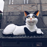硅酸盐杂志