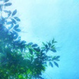 且停