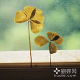 梅吉安