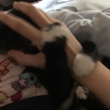 醉卧