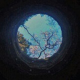 蓝色 of 小花