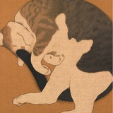 Cacacat