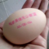 eggbaby