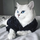 清水沉鱼自上钩
