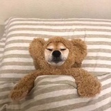 站站