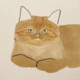 小白熊