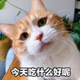 豆友