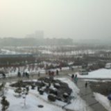 踏雪凌寒