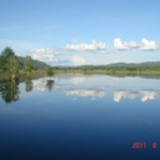 summer