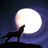 夜空中最亮的星