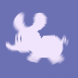 布鹿
