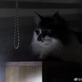 一壹00
