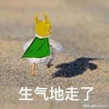 我不打算流眼泪