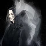 落鸿遗羽