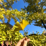 舒小小