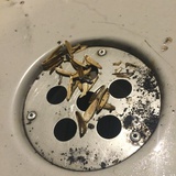 啊呜