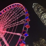 变乖的小精灵