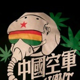 闪闪红星