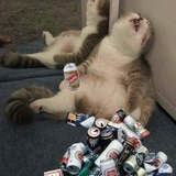 暴躁老飞哥