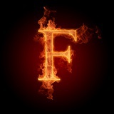 Mr.F