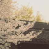 Yiting