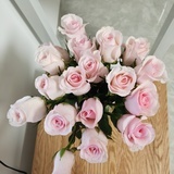 阿花Wing