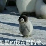 闲林野瓜
