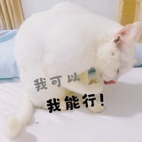 夵森