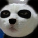 祖国的绿萝