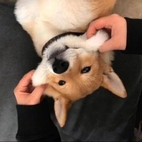 笑看人生