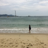 逃亡米醋