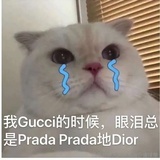 十年面壁