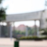 缘项归舟