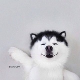 Skylor