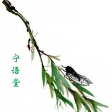 在哪里(星工具)