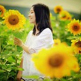 绿子