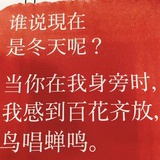 糖衣猫猫