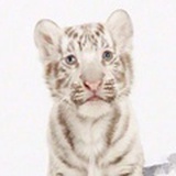 Simiao