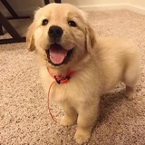 @@