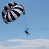 野生历史重症患者